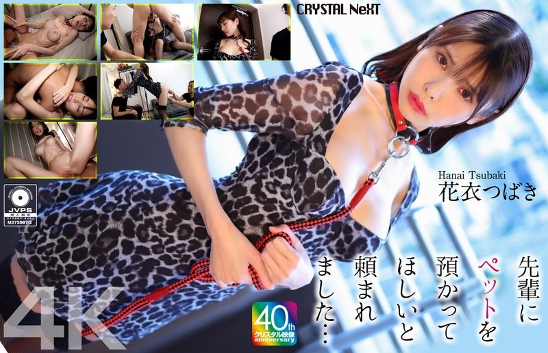 CRNX-254 【4K】先輩にペットを預かってほしいと頼まれました… 花衣つばき